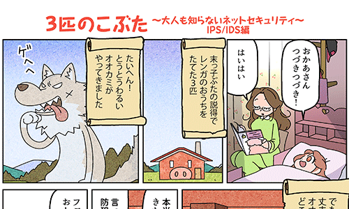 IPS/IDS編