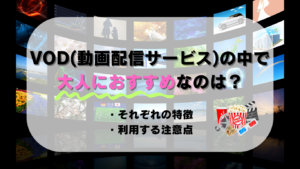 VOD(動画配信サービス)の中で大人におすすめなものは？それぞれの特徴や利用する注意点を解説